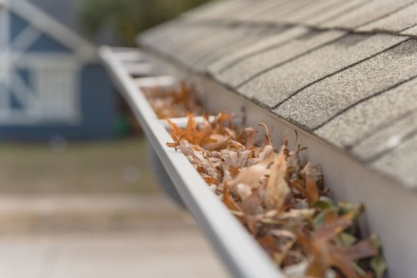 Leaf Barrier Installation in Saratoga Springs
